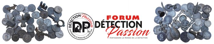 détection passion,trésors,numismatique,identifications,enchères